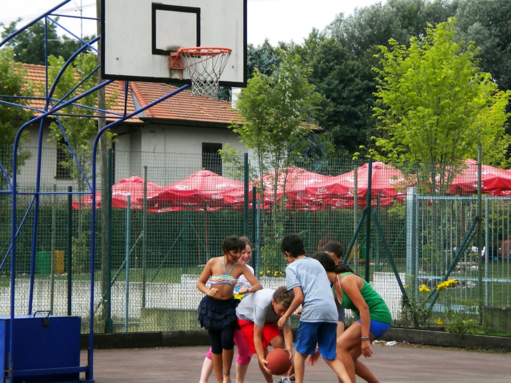 basket13.jpg