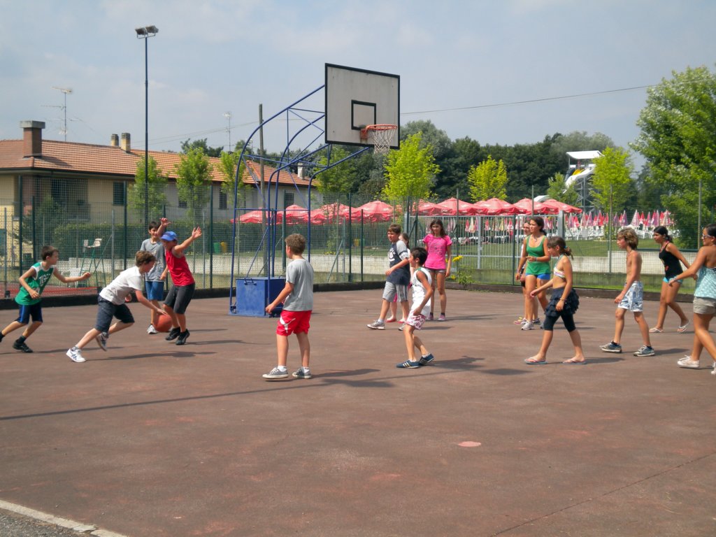 basket23.jpg