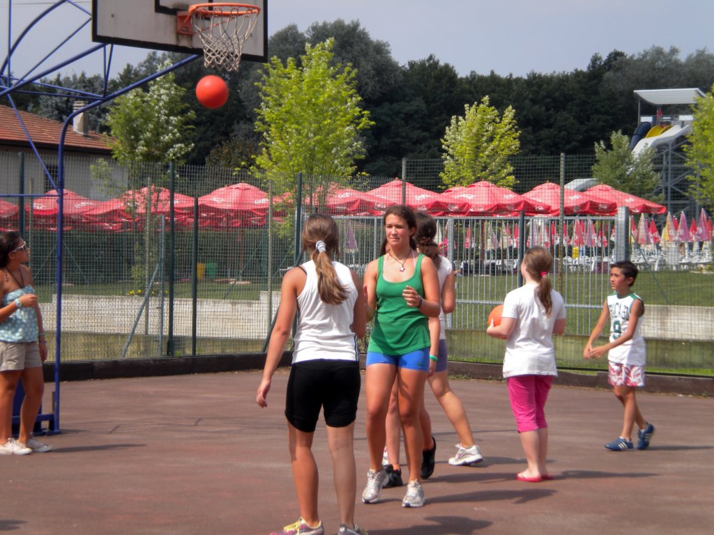 basket3.jpg