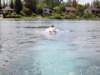 wakeboard62_small.jpg