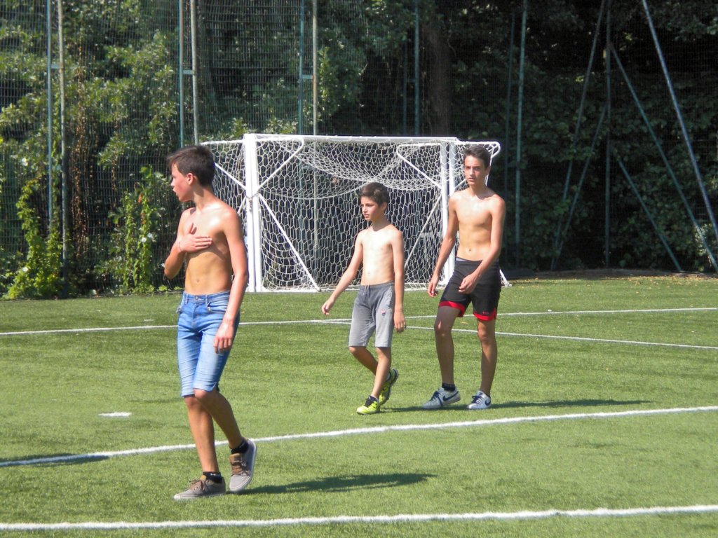 alcamposportivo9.jpg