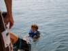 wakeboard50_small.jpg