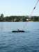 wakeboard52_small.jpg