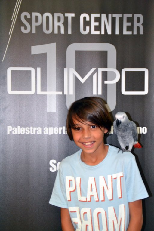 palestraolimpolandia253.jpg