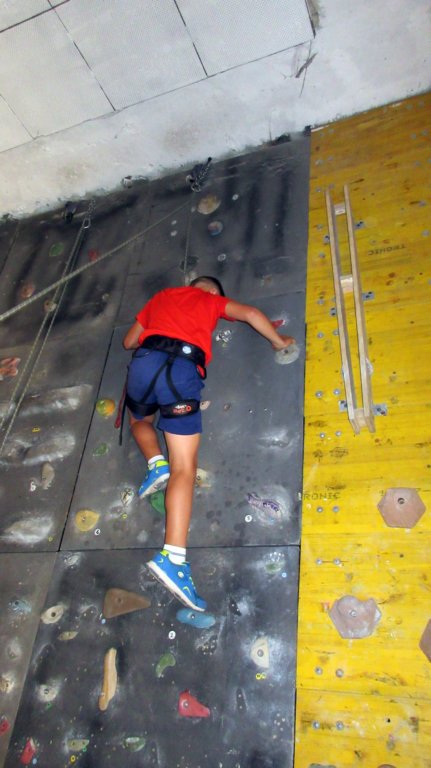 feeclimbing37.jpg