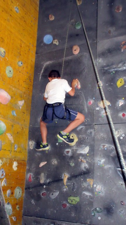 feeclimbing39.jpg