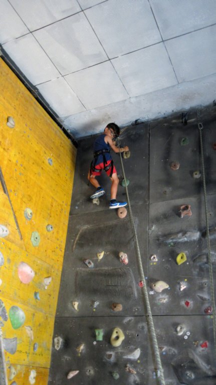 feeclimbing48.jpg