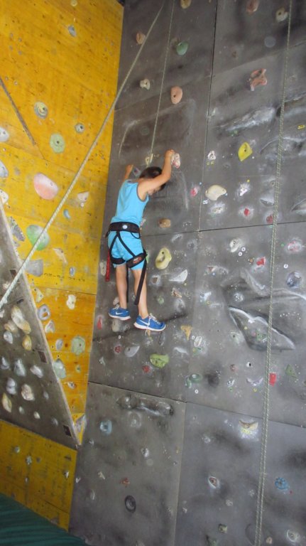 feeclimbing53.jpg