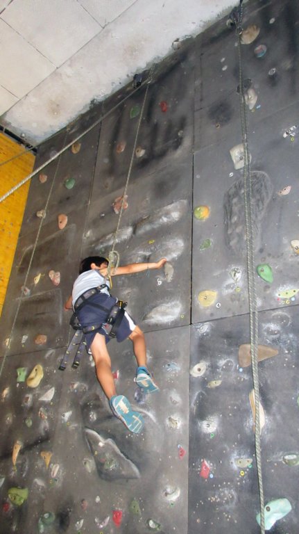 feeclimbing65.jpg