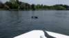 wakeboard58_small.jpg